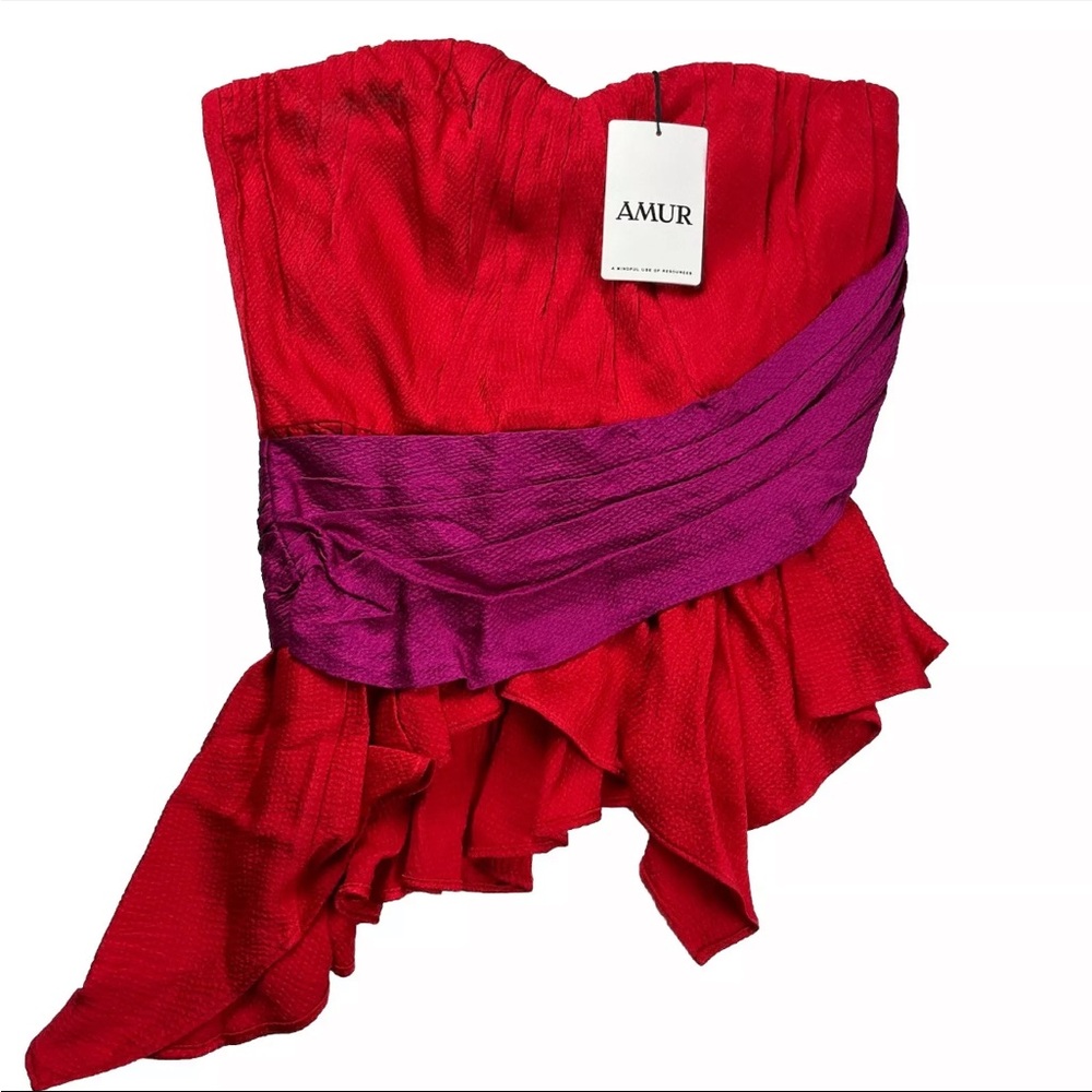 AMUR Matilda Color Block Strapless Bustier Size 10 NWT $348